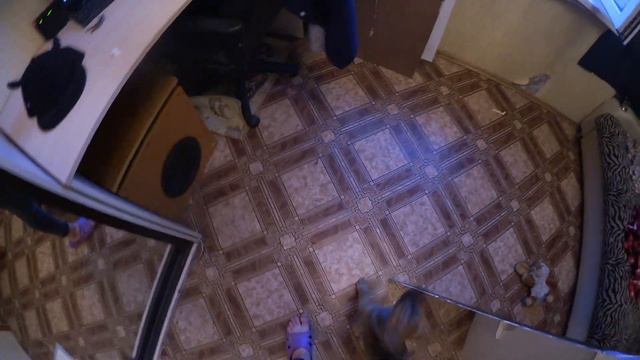 VLOG #6 / ПОХИТИЛИ ТИМАТИ И ЕГОР КРИДА / ПОКАТУШКИ / Diana Salamandra смотреть онлайн