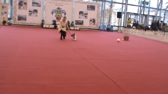 Коган Яна и Фанта дебют фристайл смотреть онлайн