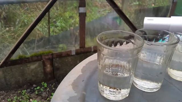 Тест дачной воды тестером Xiaomi. смотреть онлайн