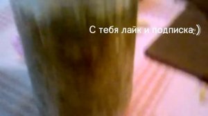 банка с грибами и плесенью