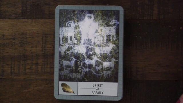 The Shaman's Oracle смотреть онлайн