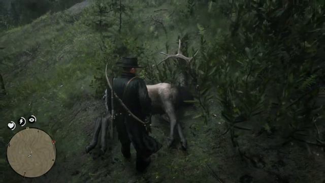 Самец Вапити смотреть онлайн