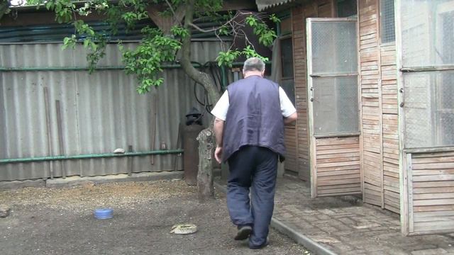 Возвращение моей самки через 2 года пробывшей на чужбине. смотреть онлайн