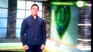 Звериный репортёр 5