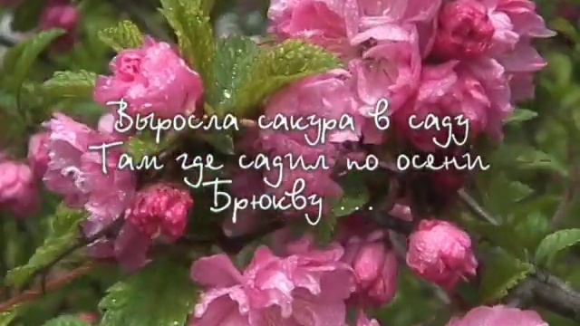 ЯПОНСКИЕ ХОККУ ДА НА РОССИЙСКИЙ ЛАД смотреть онлайн