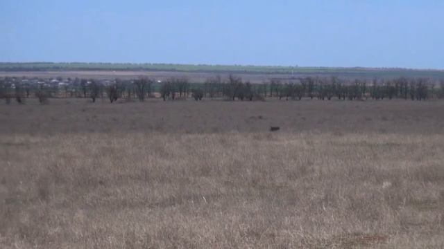 910 (36) Доработка Курцхаар Уран Алексей Степанчук Беларусь смотреть онлайн