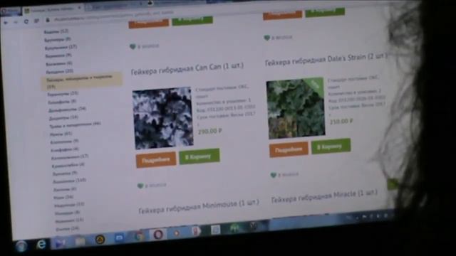 Влог Дела Заказы растений смотреть онлайн