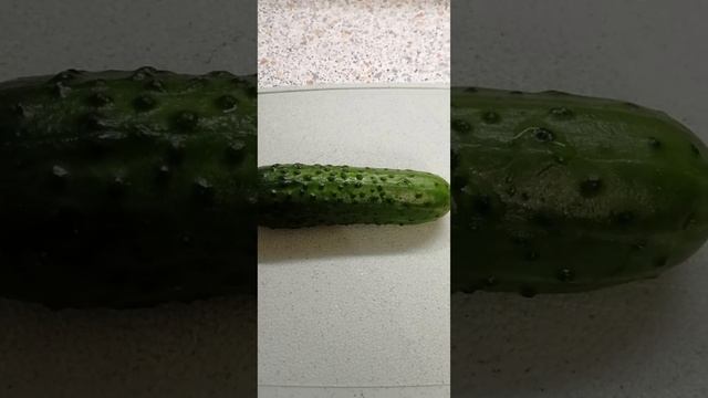 Салат с фасолью