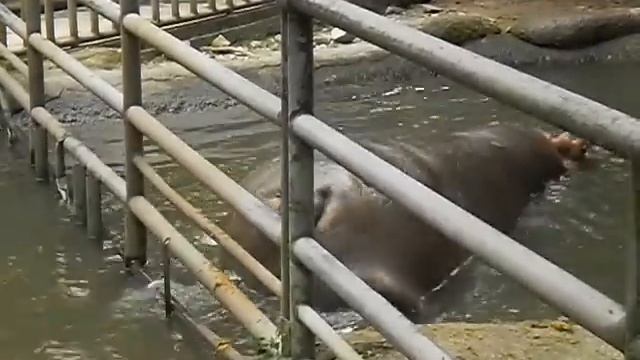 when the shit hits the fan... смотреть онлайн