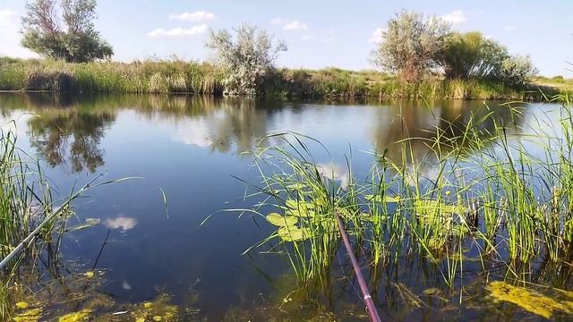 Вся правда об этой прикормке. Авторская прикормка на линя. Приготовлю, испытаю. смотреть онлайн