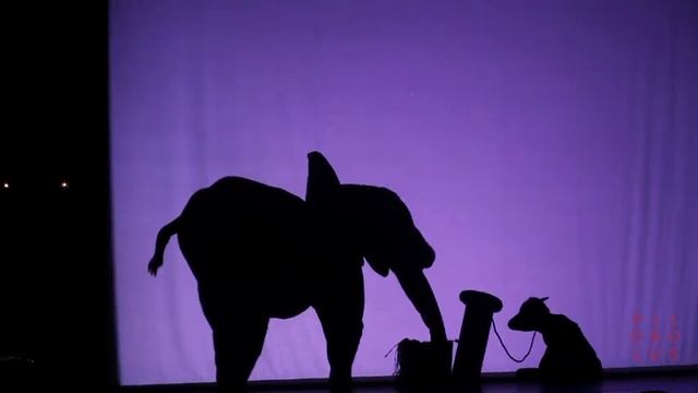 Shadowland: The Elephant смотреть онлайн