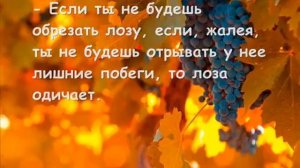 Притча О воспитании