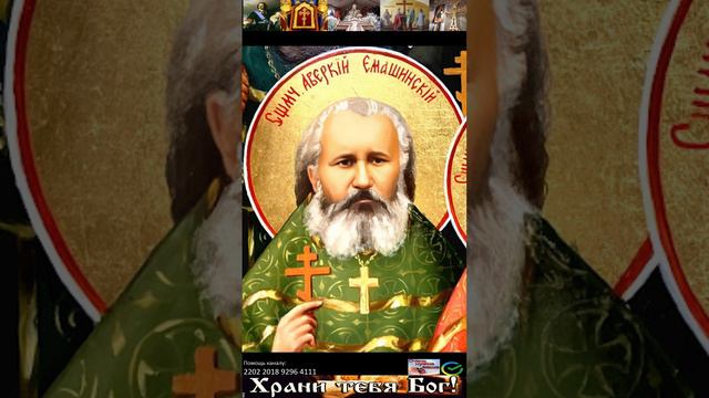 Дeнь пaмяти cвящeннoмучeникa Aвepкия Ceвepoвocтoкoвa смотреть онлайн