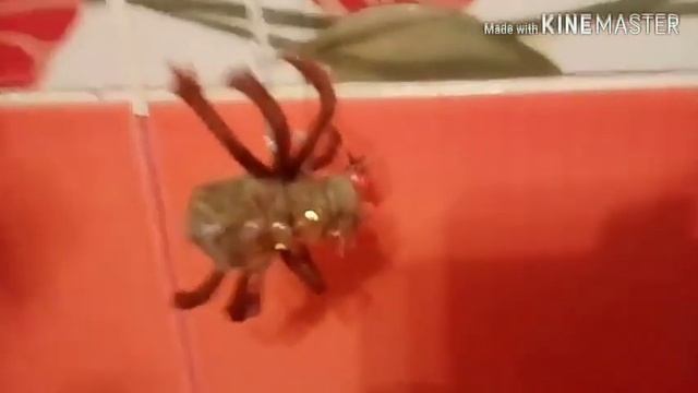 МНОГО ИДЕЙ ПОДЕЛОК! ПОДЕЛКИ НА ТЕМУ ОСЕНЬ ИЗ РАЗНОГО МАТЕРИАЛА! ПОДЕЛКИ РАЗНЫЕ !ДАРЫПРИРОДЫ! смотреть онлайн