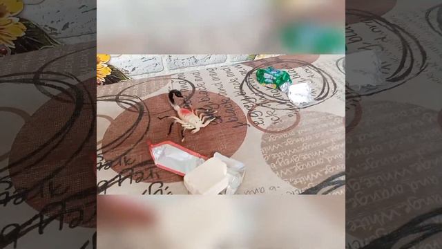 обзор на плавленый сыр и напиток бодрый смотреть онлайн