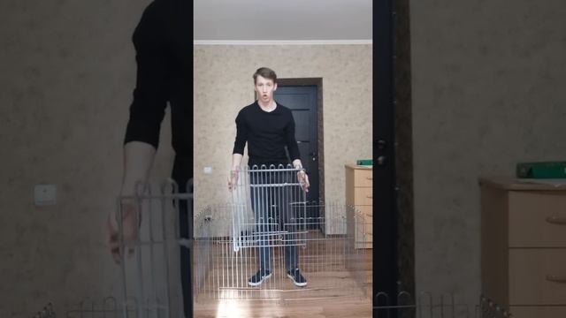 Вольер для собак смотреть онлайн