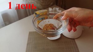 ТРАВКА ДЛЯ ПОПУГАЯ БЫСТРО И ЛЕГКО. Как вырастить зелень дома (за 7 дней).