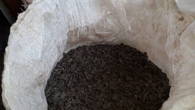 👀Як виглядає БІО Фуз і Макуха для Курей 🌻 смотреть онлайн