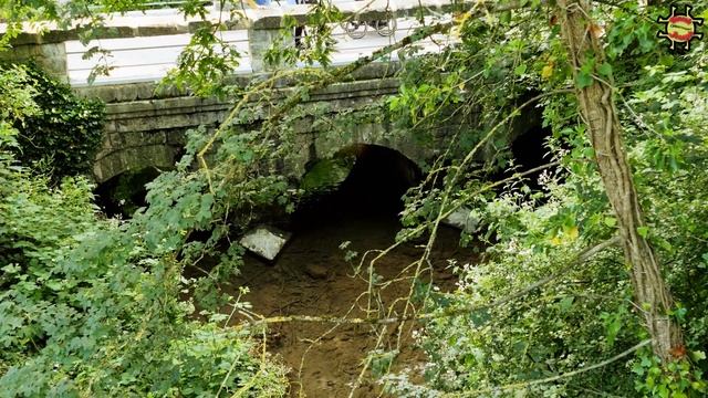Mote park, Maidstone, kent 8k video смотреть онлайн