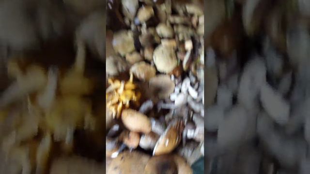 женская интуиция! верить или положиться на свою??? смотреть онлайн