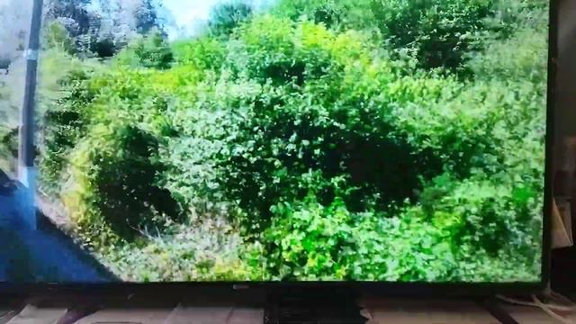 Авторская песня Николая Салтыкова в исполнении автора: "Сибирячка девочка. " смотреть онлайн