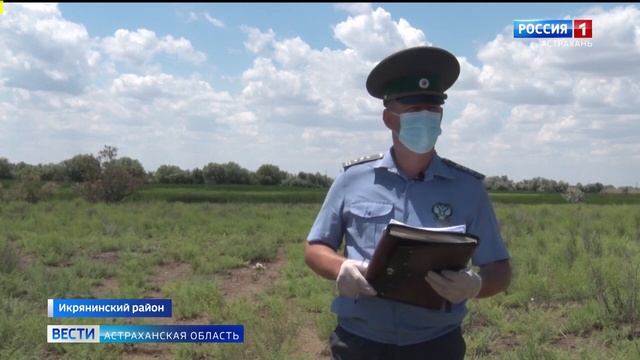 В Икрянинском районе выявили порядка 50 гектаров неиспользованных сельхозземель.mp4 смотреть онлайн