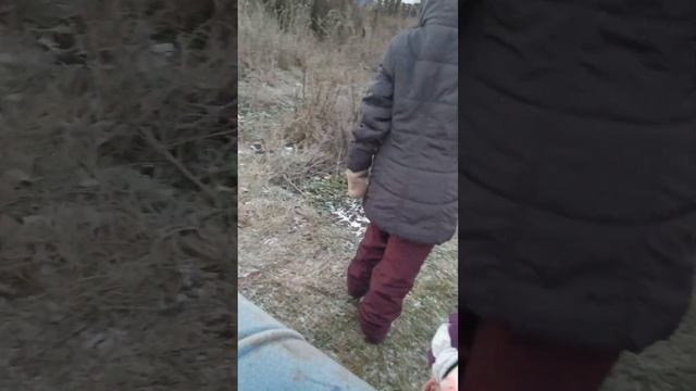 сельские дети ранним ноябрьским утром собрали немного летней травы для козы? #мороз #тишина
