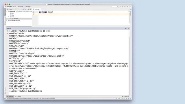 Setup Golang Project and connect to Postgresql смотреть онлайн