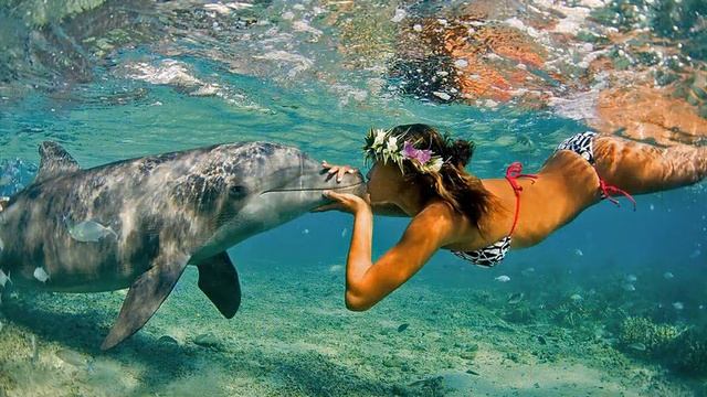 Тур в Абхазию из спб смотреть онлайн