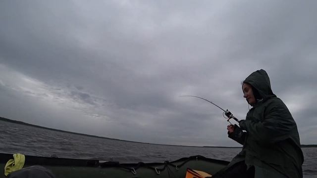 Подготовка к PAL, официальная тренировка, как ловить судака, catch zander смотреть онлайн