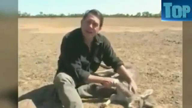 ЛЮДИ СПАСАЮТ ЖИВОТНЫХ (ТРОГАТЕЛЬНО ДО СЛЕЗ) People rescued animals)