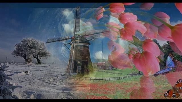 Андрей Оршуляк - Как хочется. Стихи: Игорь Леонидович Левин, муз , Андрей Оршуляк смотреть онлайн