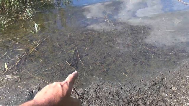 Где я брал мульчу для огорода (спойлер) смотреть онлайн