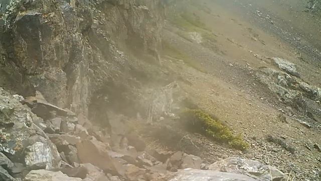 Илбирс - Снежный барс в Кыргызстане - Snow Bars Leopard in Kyrgyzstan смотреть онлайн