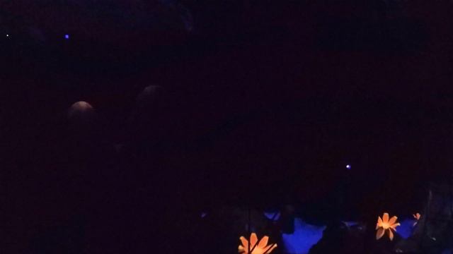 Peter Pan's Flight on-ride 4K POV Disney's Magic Kingdom смотреть онлайн