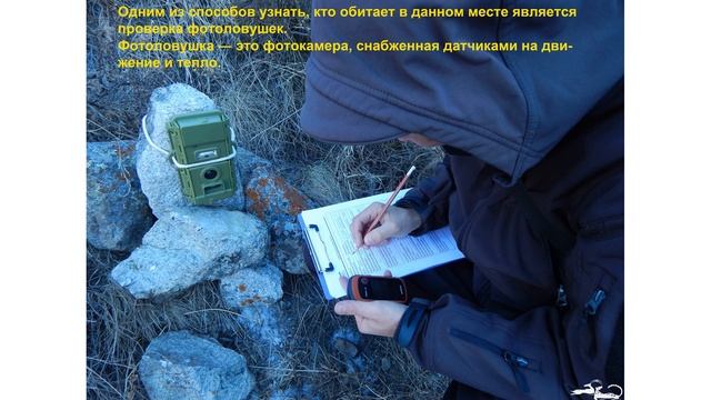 Что такое зоология и чем занимается зоолог