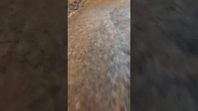 так нельзя чтобы какой год Мягков не чистел по улице революционая это каждый год смотреть онлайн