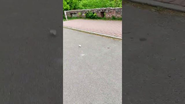 друг разбил мои наушники😭😭😭 смотреть онлайн