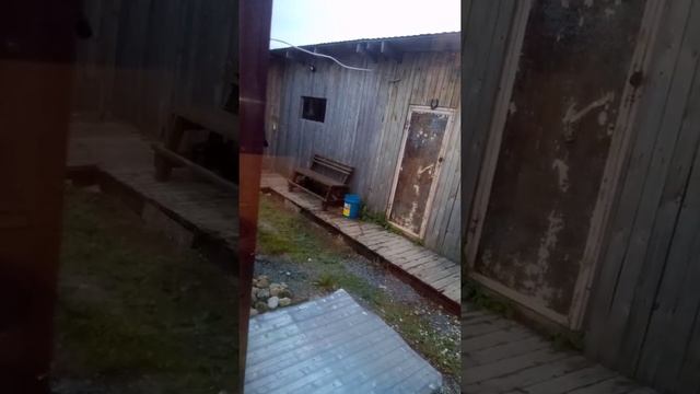 Папа убирает осиное гнездо,огромное с футбольный мяч))) смотреть онлайн