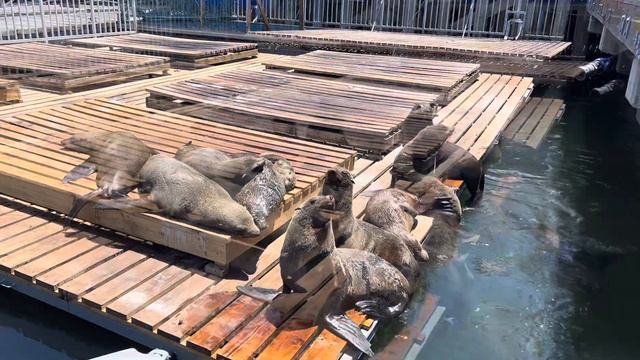 Cape Town, South Africa, старый портVictoria & Alfred WaterfrontКейптаунЮжно-Африканская Республика смотреть онлайн