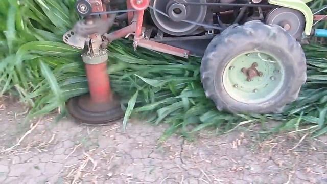 Мотоблок косит кукурузу 2ч. (захват 105 см) смотреть онлайн