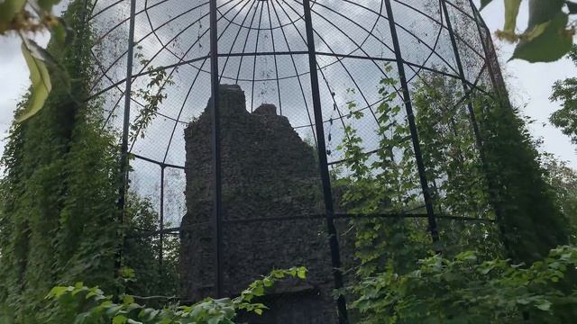 VLOG | Отлично провела время в Питере смотреть онлайн