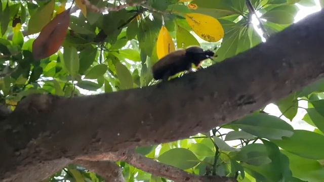 2020.07.27 AM 07:00 Море прилив. South Korea Today, Южная Корея сегодня смотреть онлайн