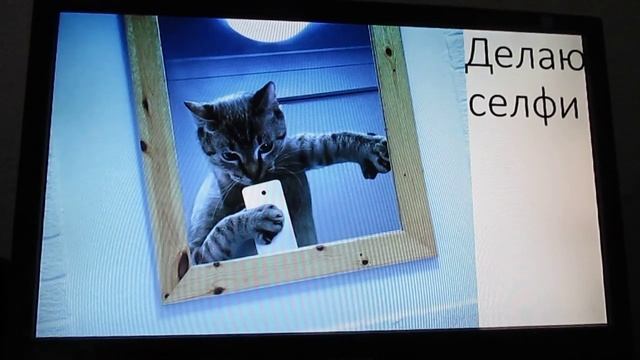 1 день из жизни кота Барсика смотреть онлайн