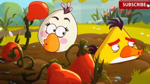 Angry Birds Toons S1 E47 Oh, Gnome! смотреть онлайн