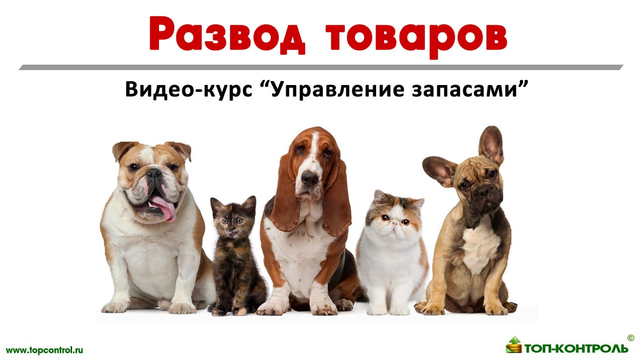 Идеальная структура ассортимента. Группировка и описание товаров компании. Управление запасами ч 3 смотреть онлайн