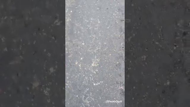 Сдал АЛЮМИНИЙ ! 6 килограмм! Сколько денег я заработал?)) смотреть онлайн