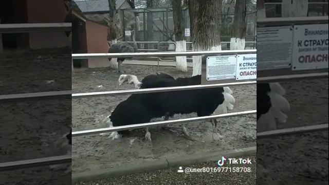 Парк миниатюр смотреть онлайн