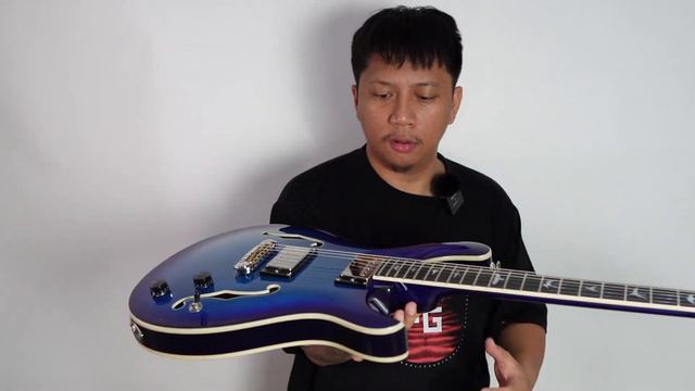 PRS HOLLOWBODY GUITAR - CPG UNBOXING