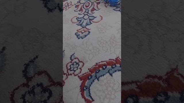 Джонидің машиналары. Жони Джонни.Мустанг батл Порше. смотреть онлайн